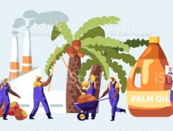 Di Balik Larangan Ekspor Minyak Goreng: Keberanian Jokowi dan Pengusaha Sawit yang Dimanja di Era SBY